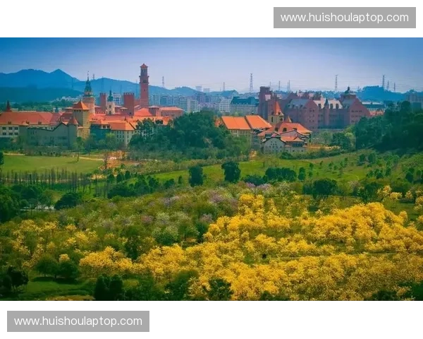 燃情绿茵法国世界杯激情碰撞梦想的旋律盛宴 燃情绿茵法国世界杯激情碰撞梦想的旋律盛宴